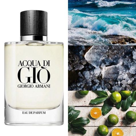 Top Dry Season Colognes for Men in 2024: Best Picks for a Fresh Scent
