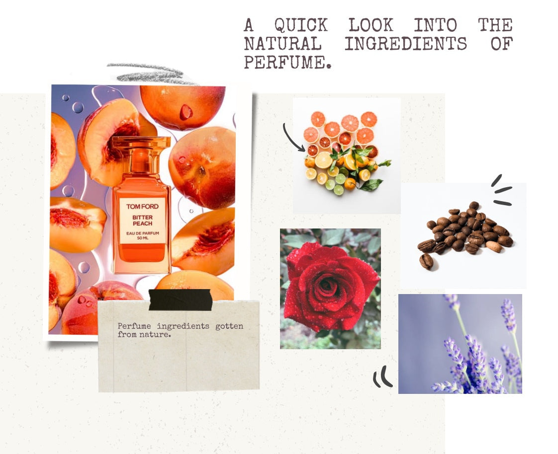 A QUICK LOOK INTO THE NATURAL INGREDIENTS OF PERFUMES.