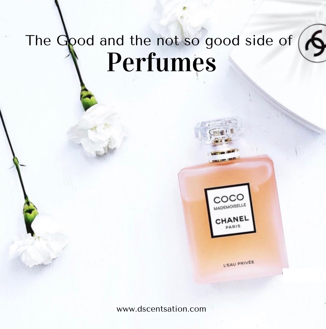 PERFUMES: The good and the not-so-good side