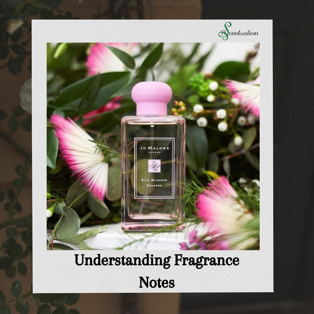 Understanding Fragrance Notes