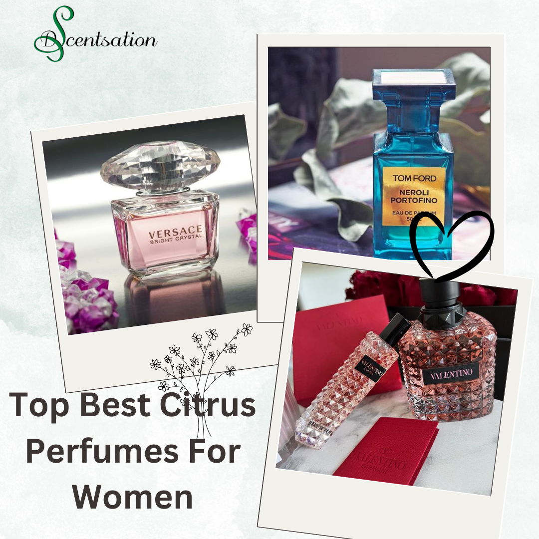 Top Best Citrus Perfumes for Women