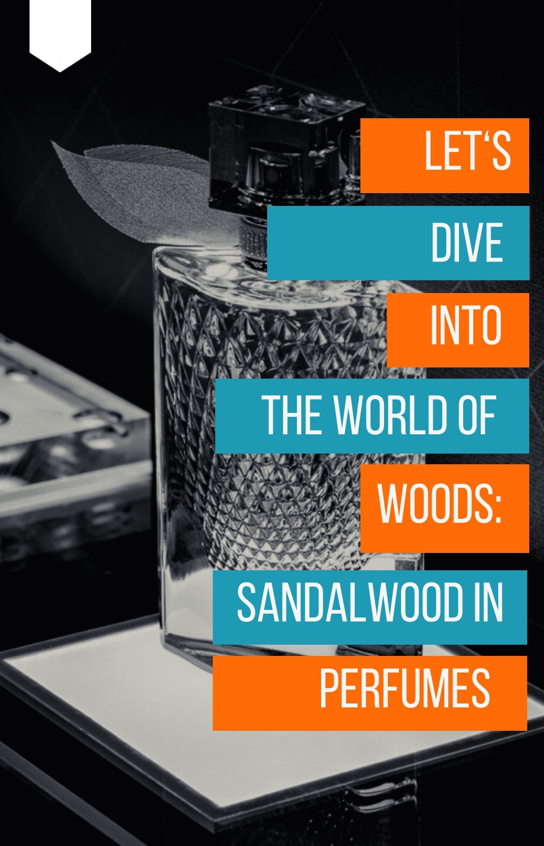 LET US DIVE INTO THE WORLD OF WOODS: SANDALWOOD IN PERFUMES