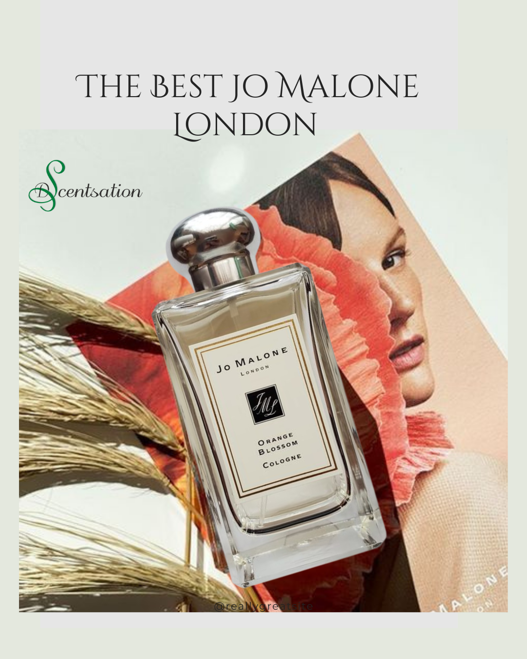 What's the best jo malone scent hotsell
