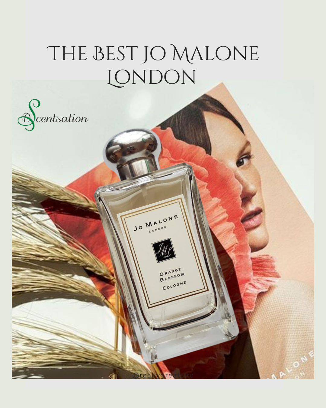 The Best Jo Malone London