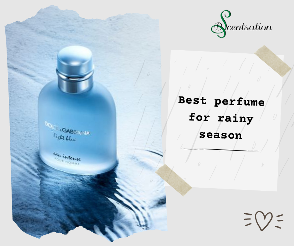 Best Perfume For Rainy Season