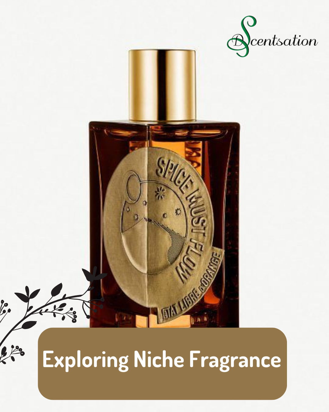 Exploring Niche Fragrance