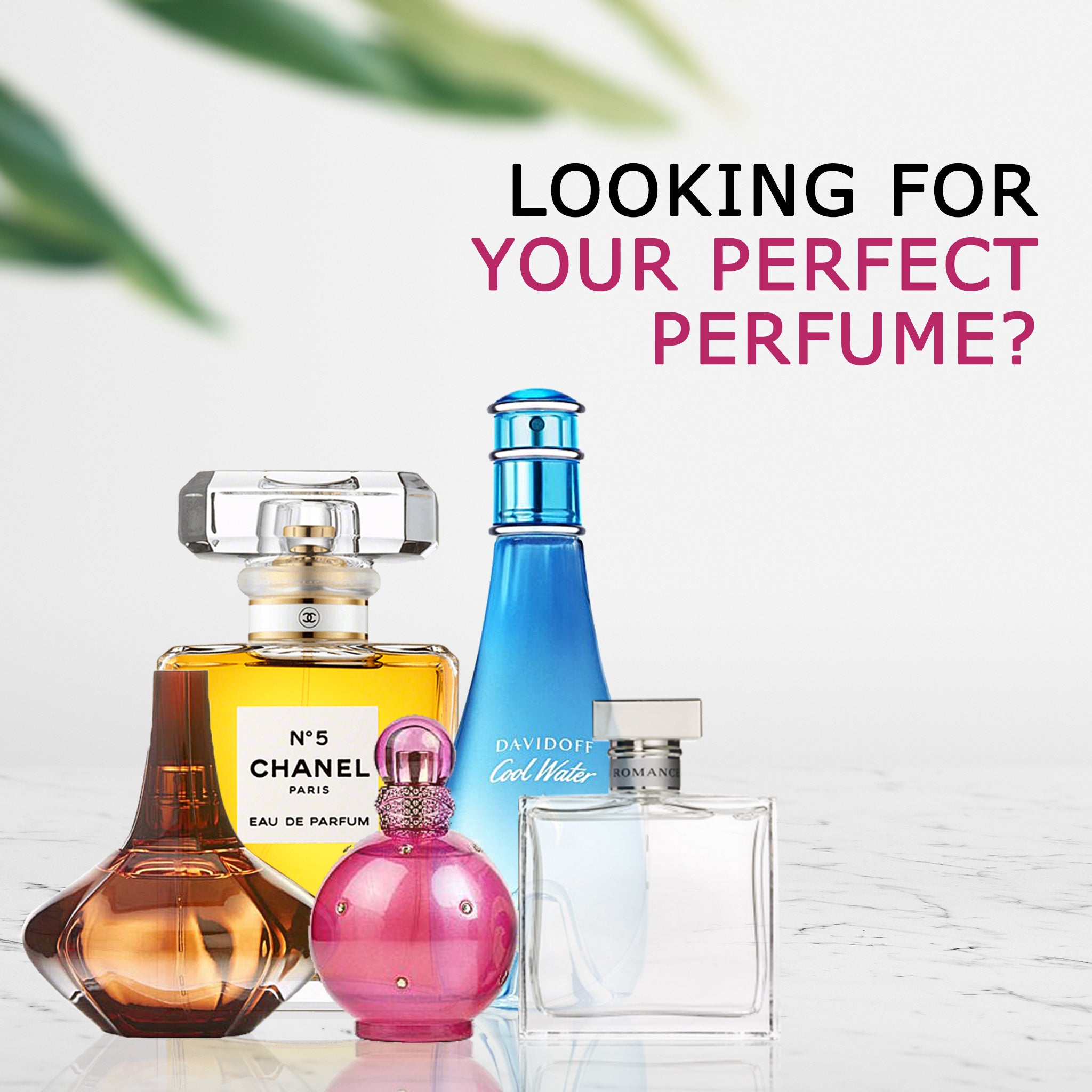 HAVE YOU FOUND YOUR PERFECT PERFUME?