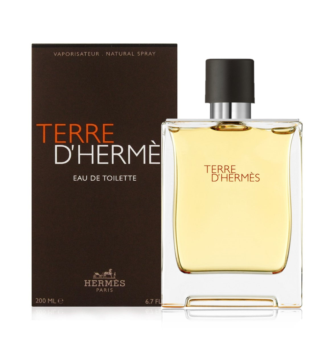 Hermes Terre D Hermes EDT 200ml For Men