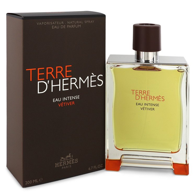Hermes Terre D Hermes EDT 200ml For Men